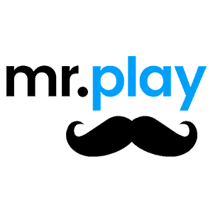 mr.play